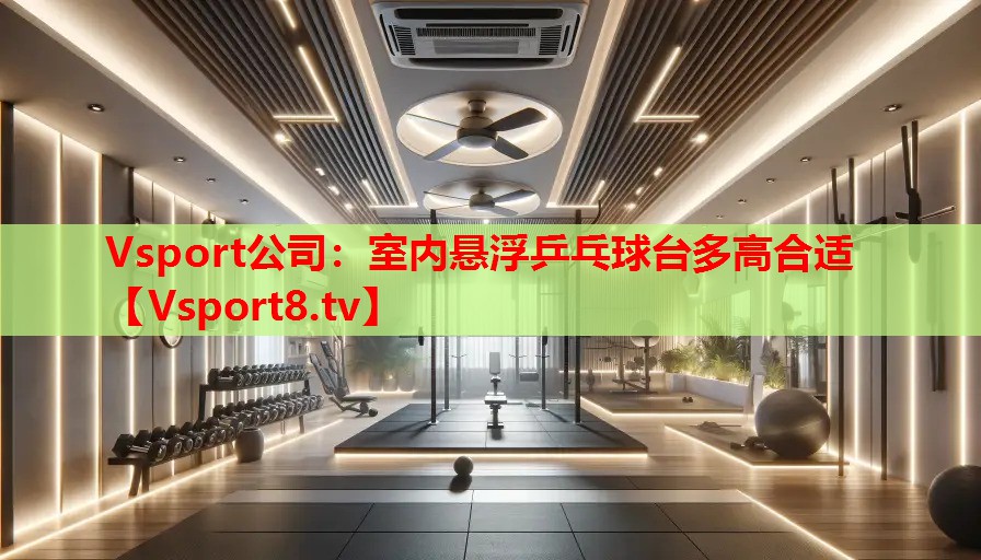 Vsport公司：室內懸浮乒乓球臺多高合適